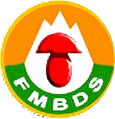 Fmbds logo