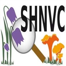 Logo shnvc sans cadre