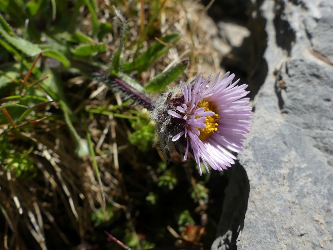 P1020543 rm