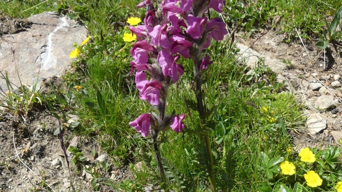 P1020572 rm