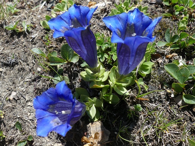 P1020574 r