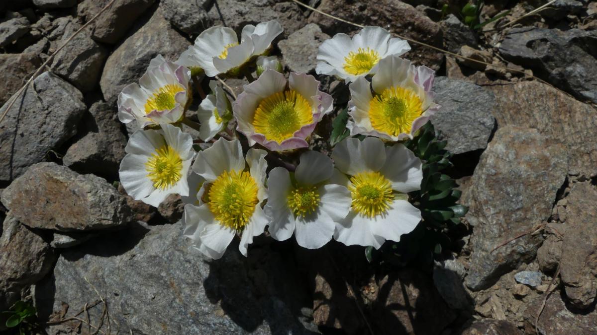 P1020605 r