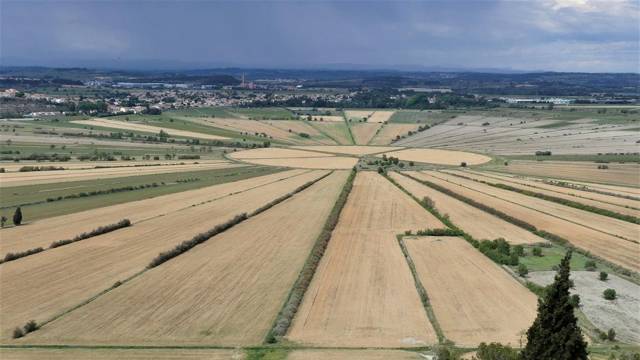 P1190579 r