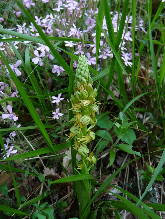 P1490593 r