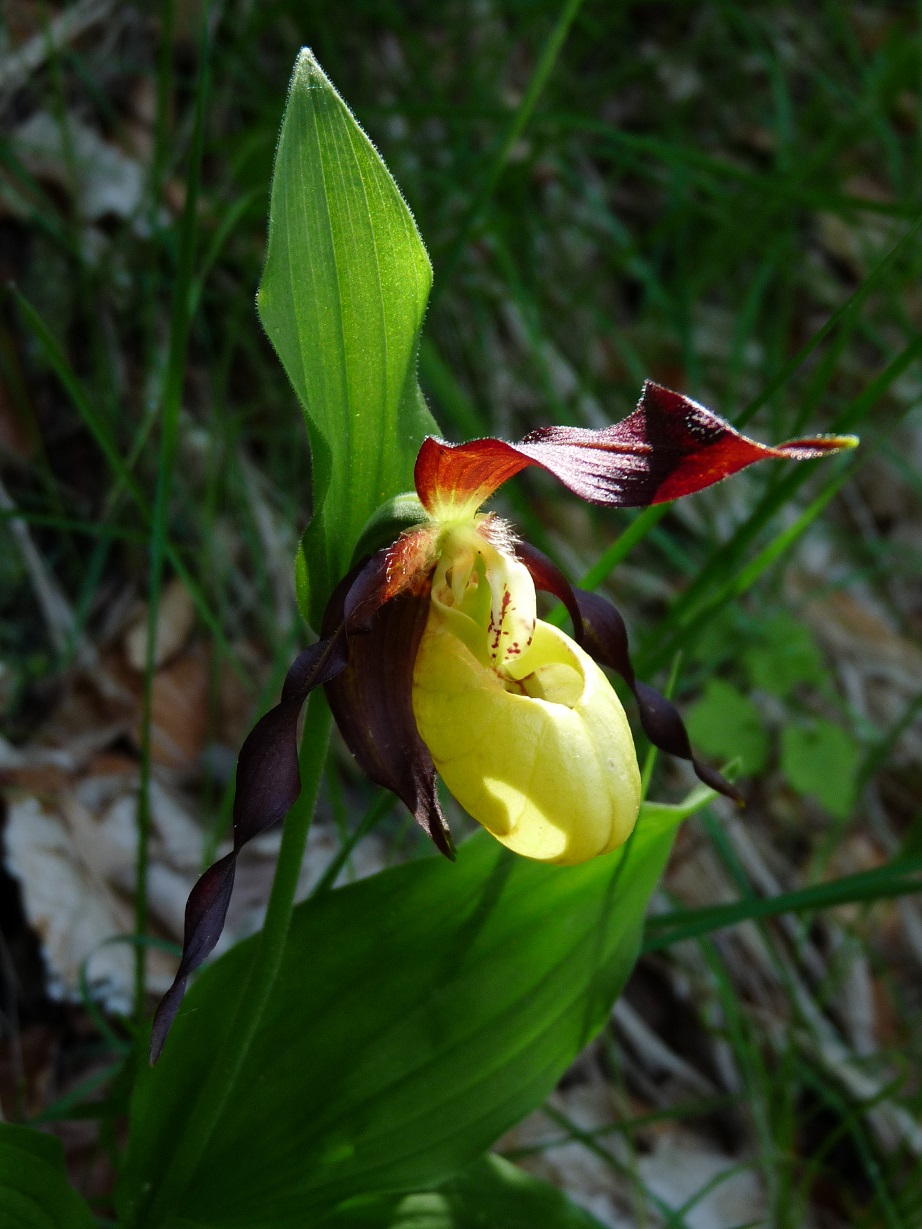 P1510041 r