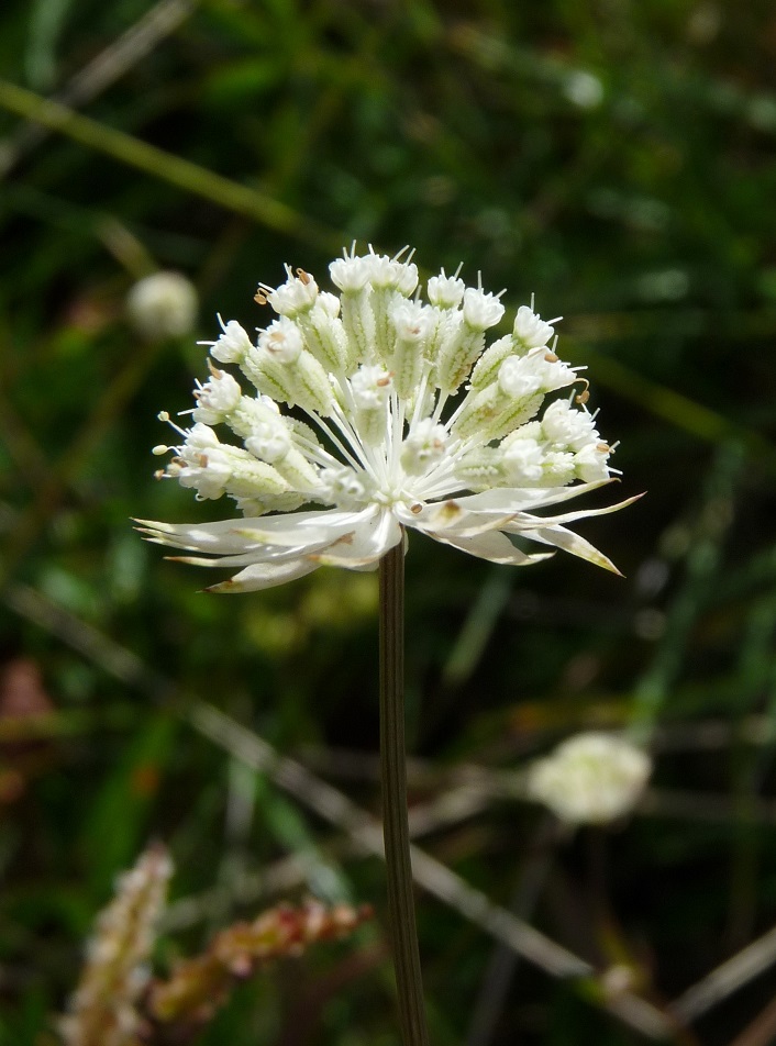 P1520640 r