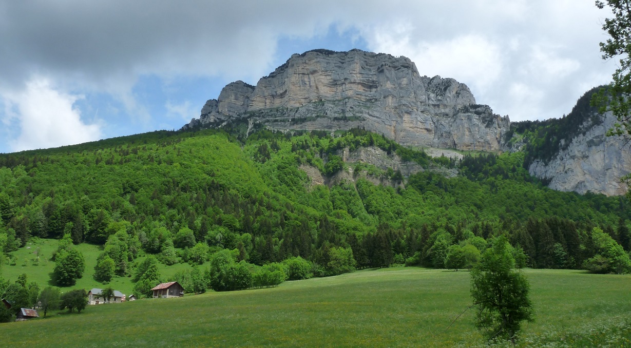 Paysage 2