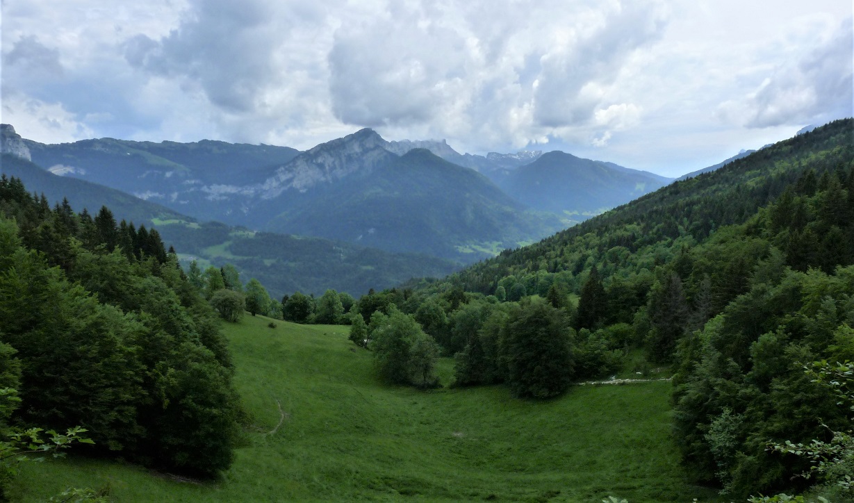 Paysage 3