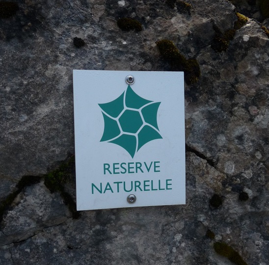 Reserve