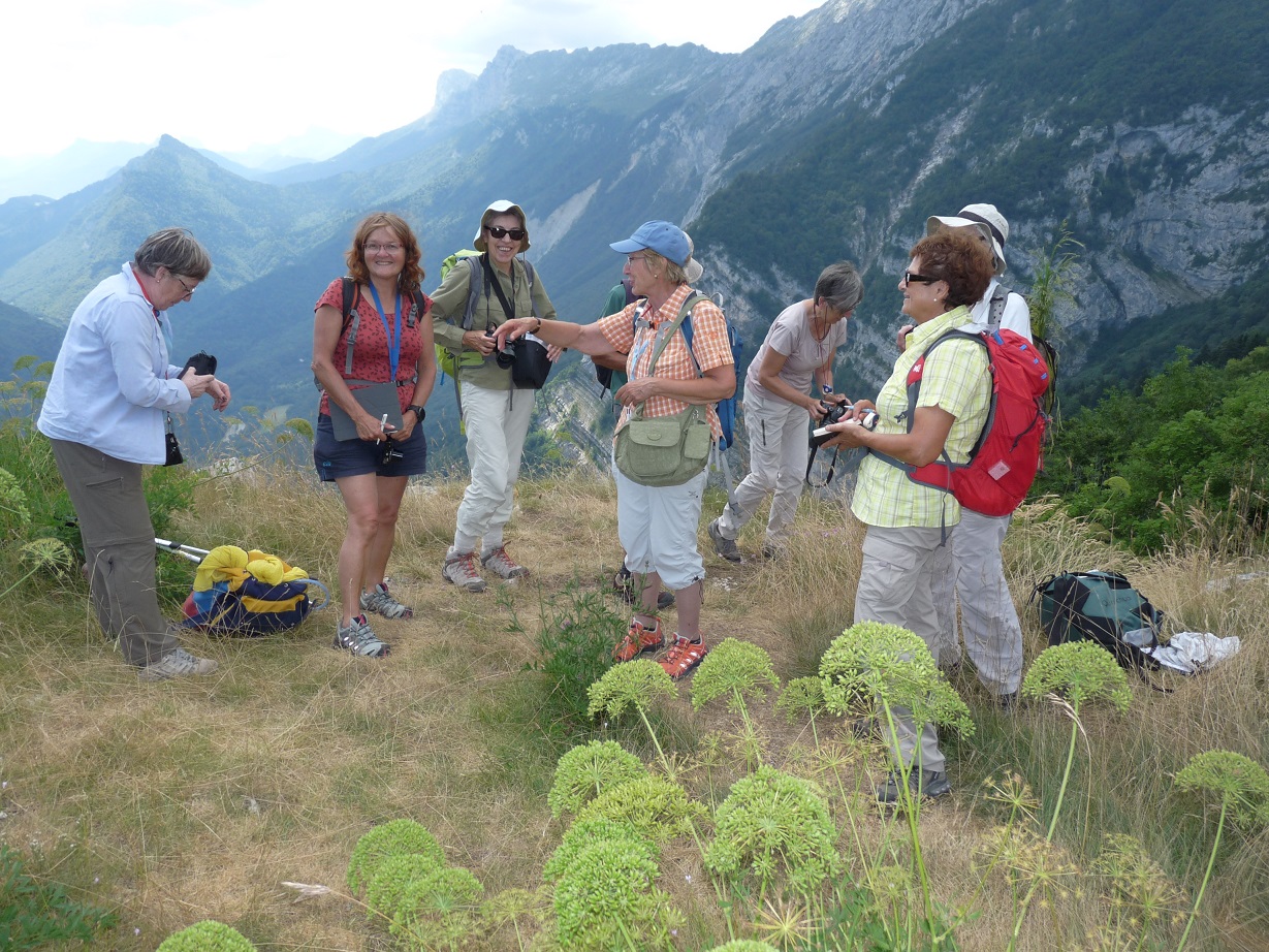 Groupe 20