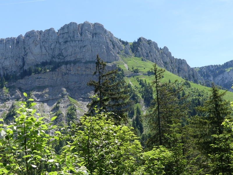 Laruchere 2019 06 23 049 r