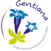 Logo gentiana