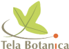 Ltela botanica logo