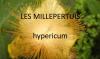 Millepertuis