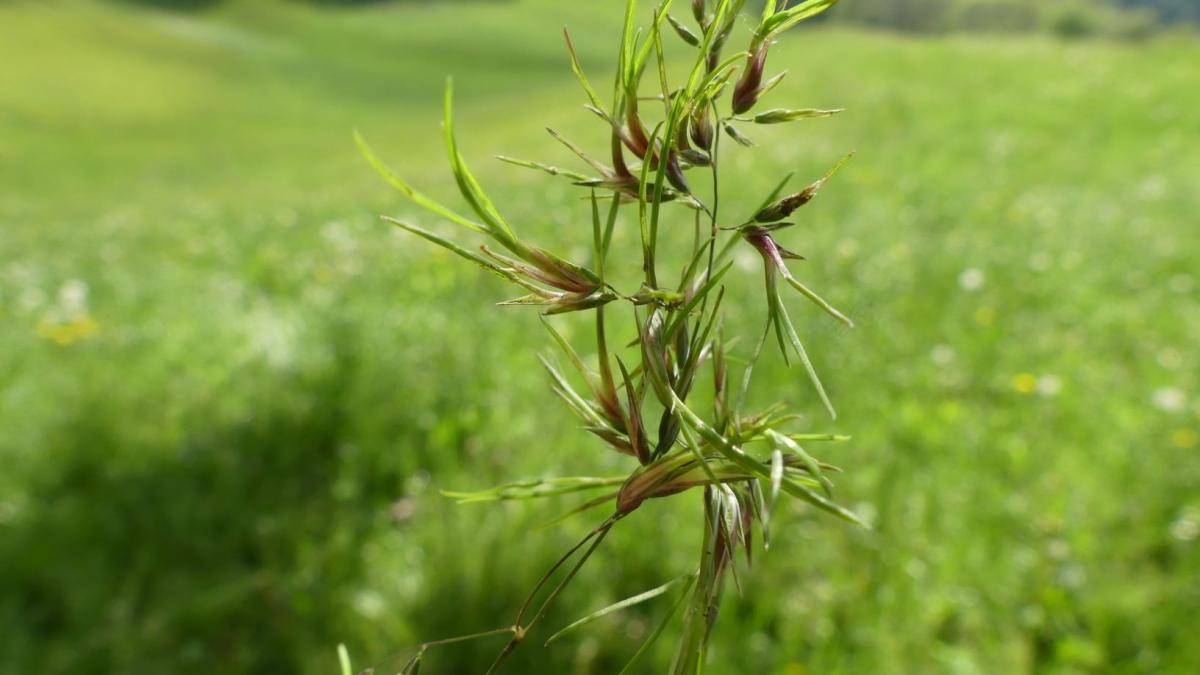P1010136 r