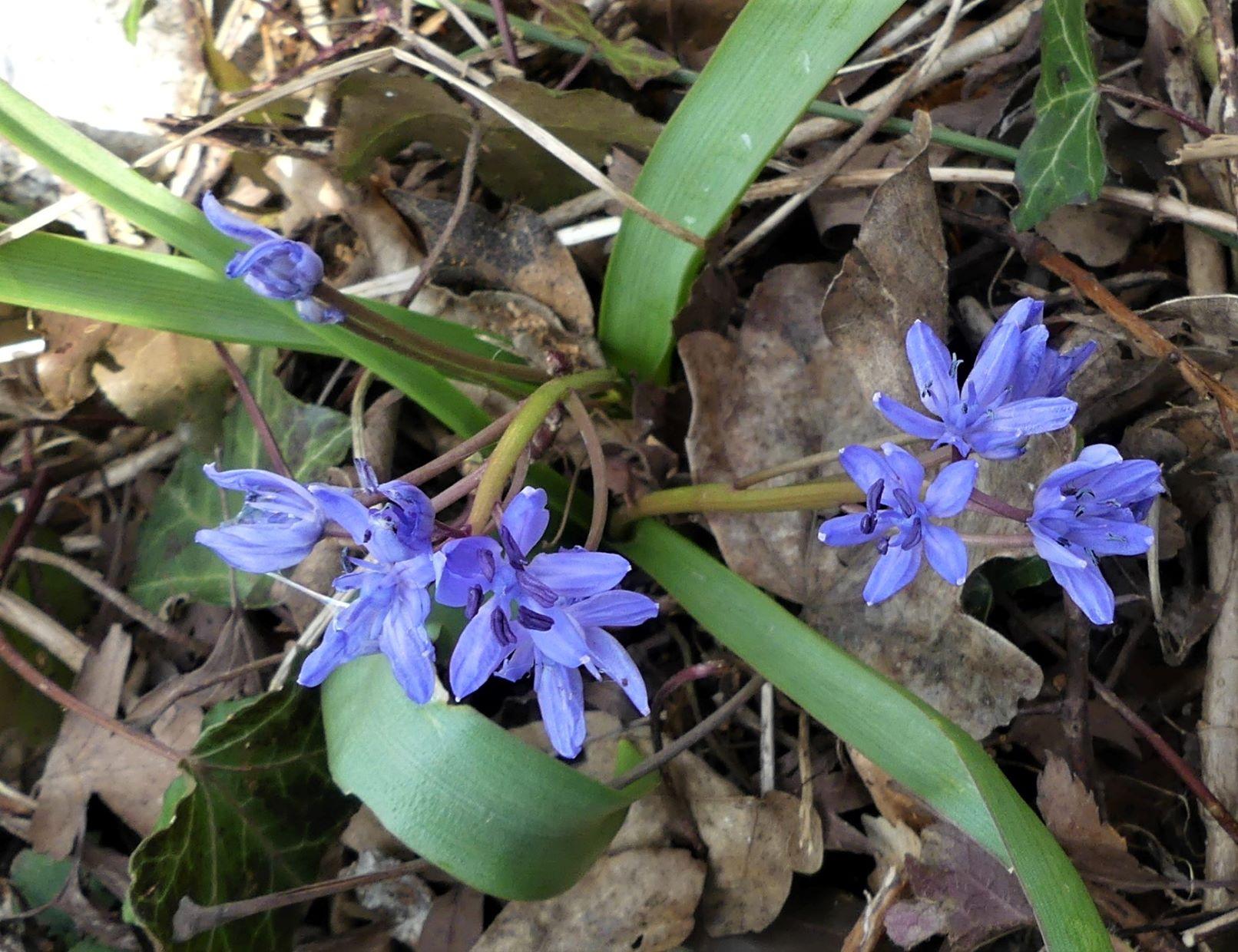 P1080246 r