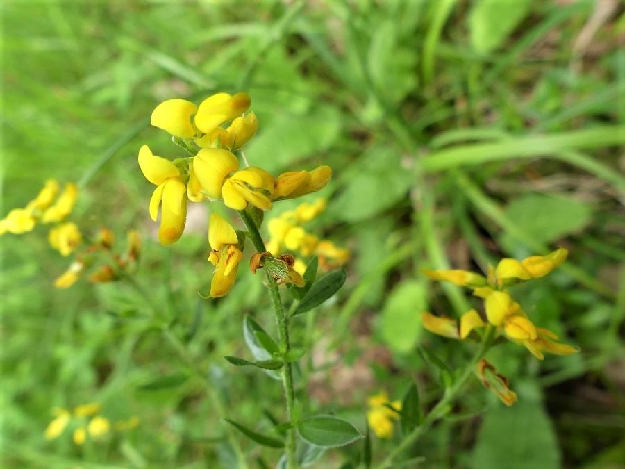 P1090656 r