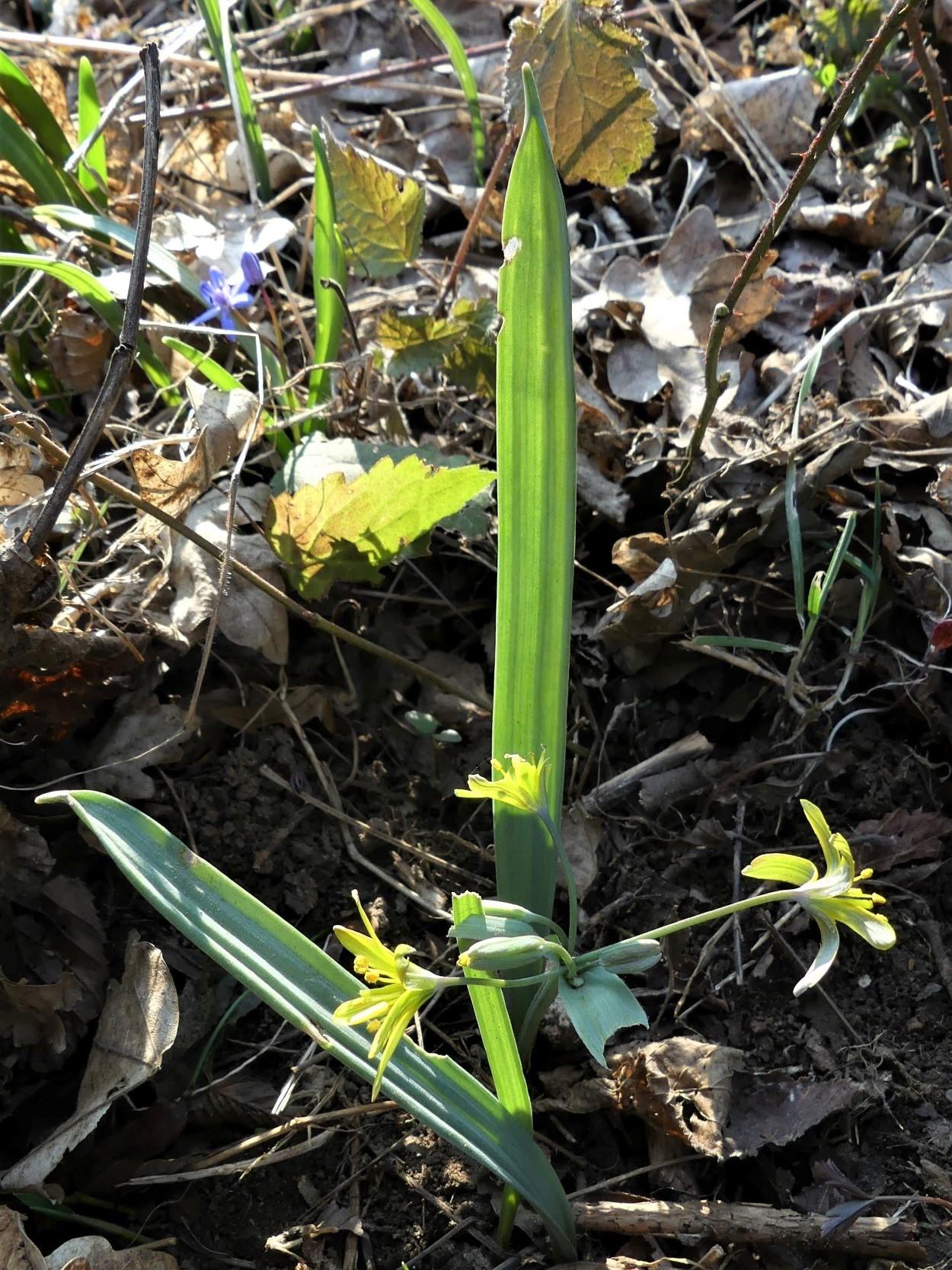 P1130238 m