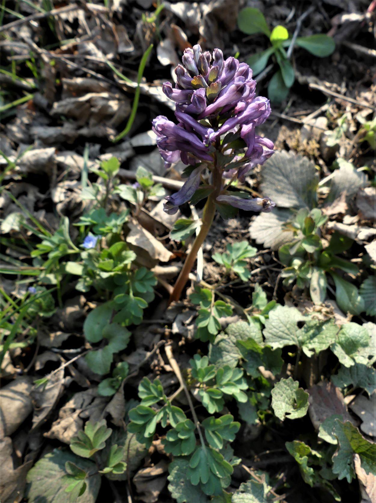 P1130242 r