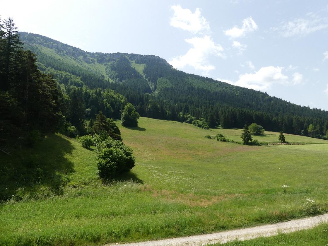P1160093 r