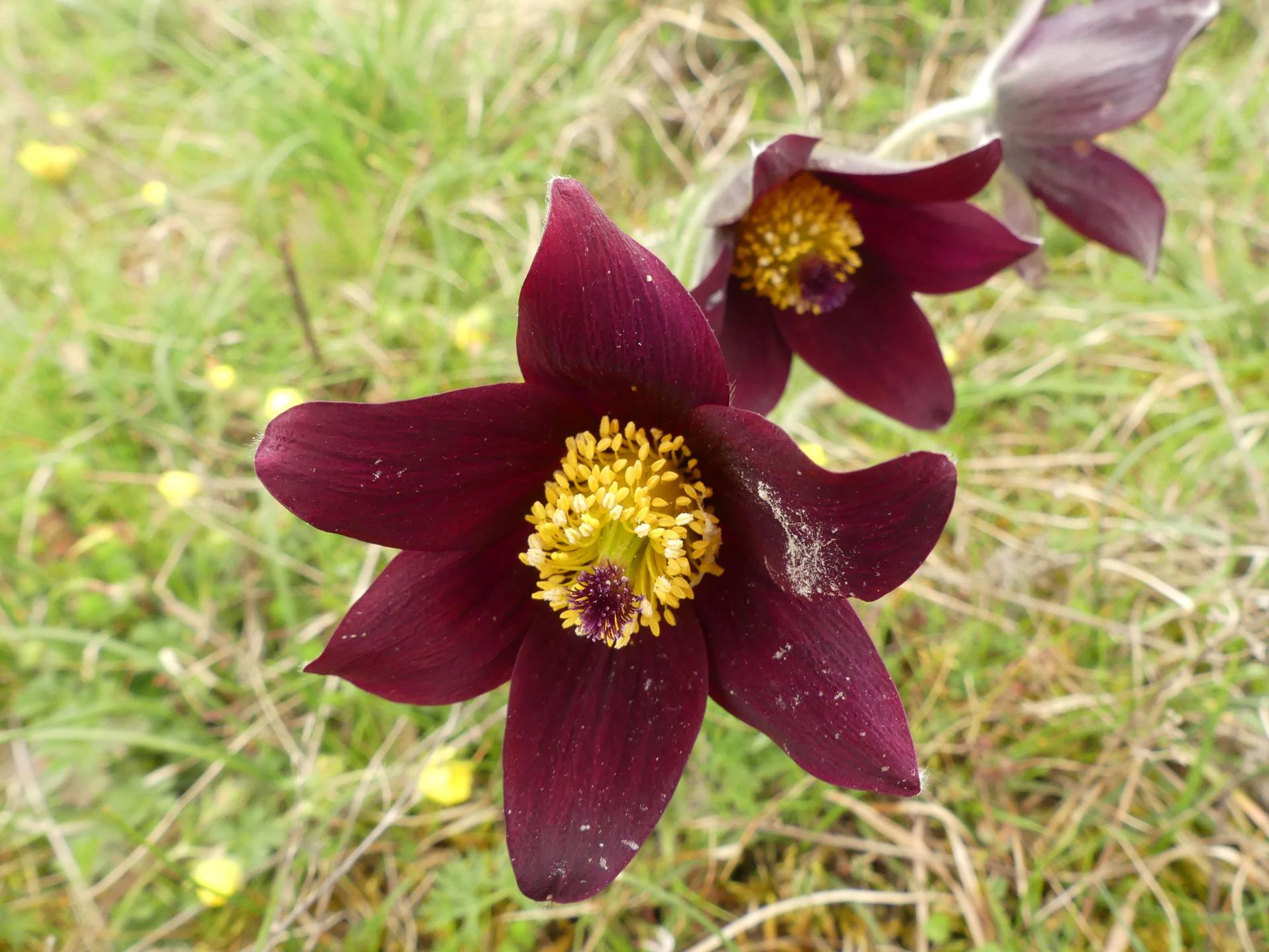 P1220870 r