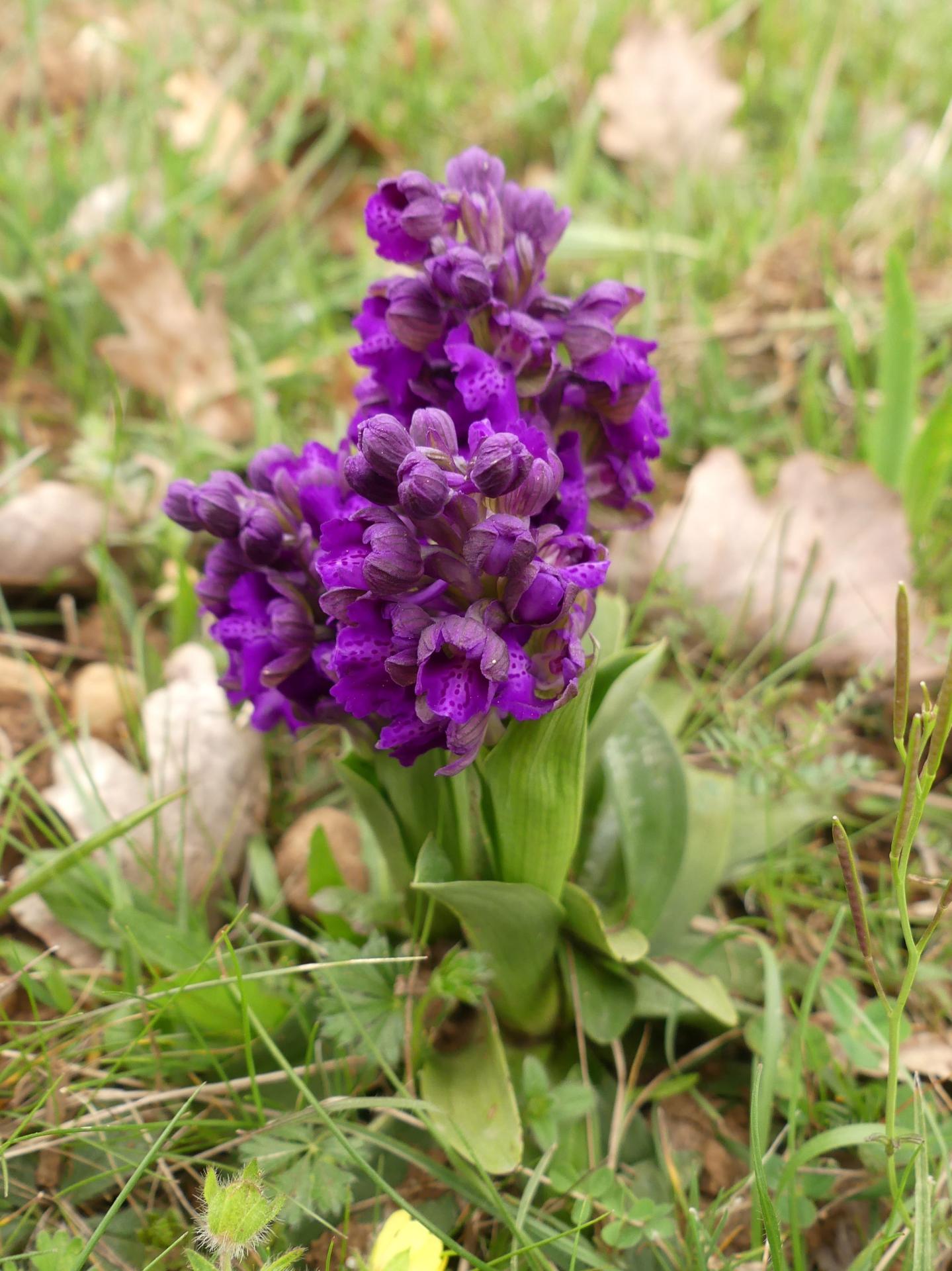 P1220896 s