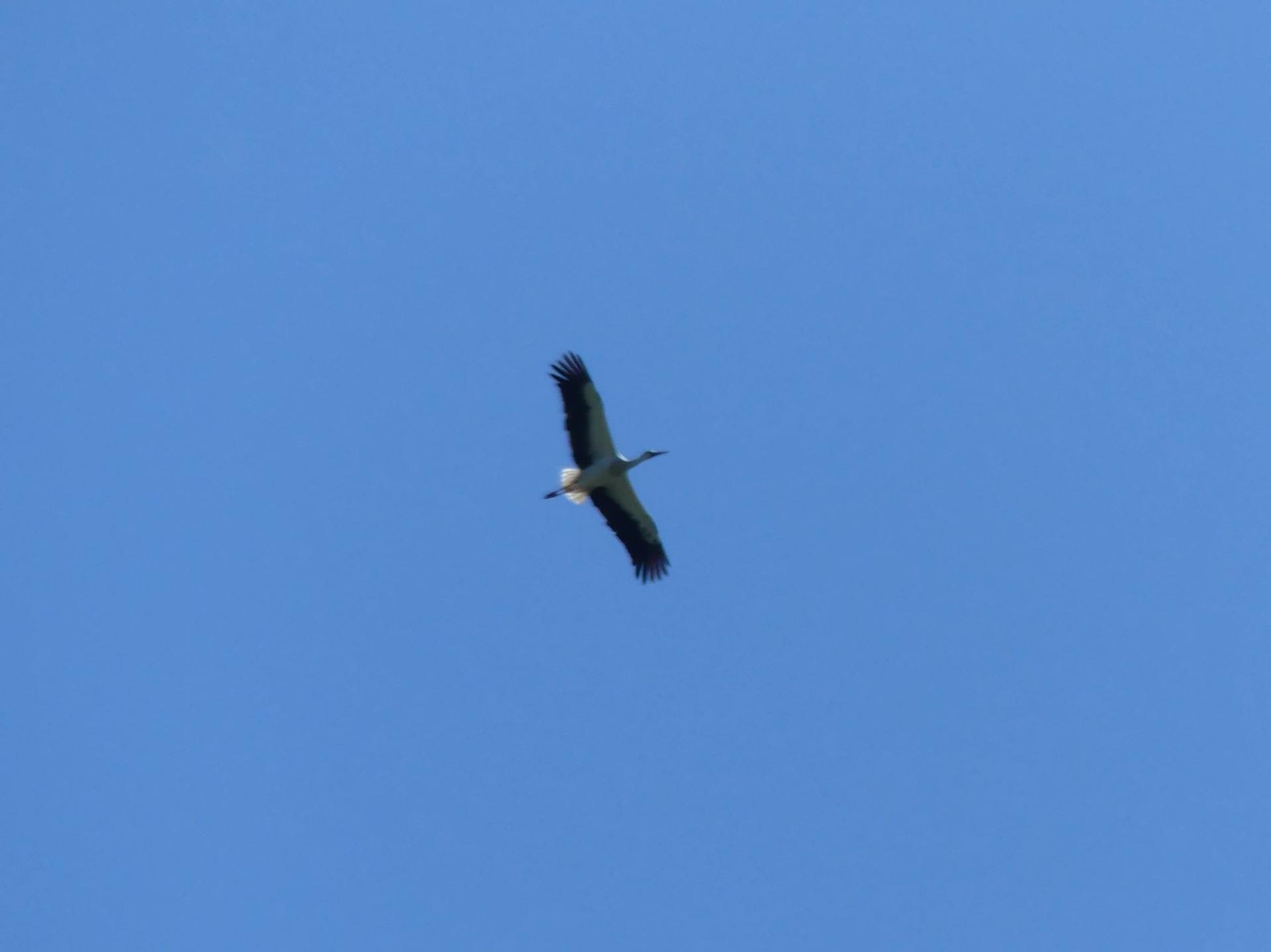 P1220996 r