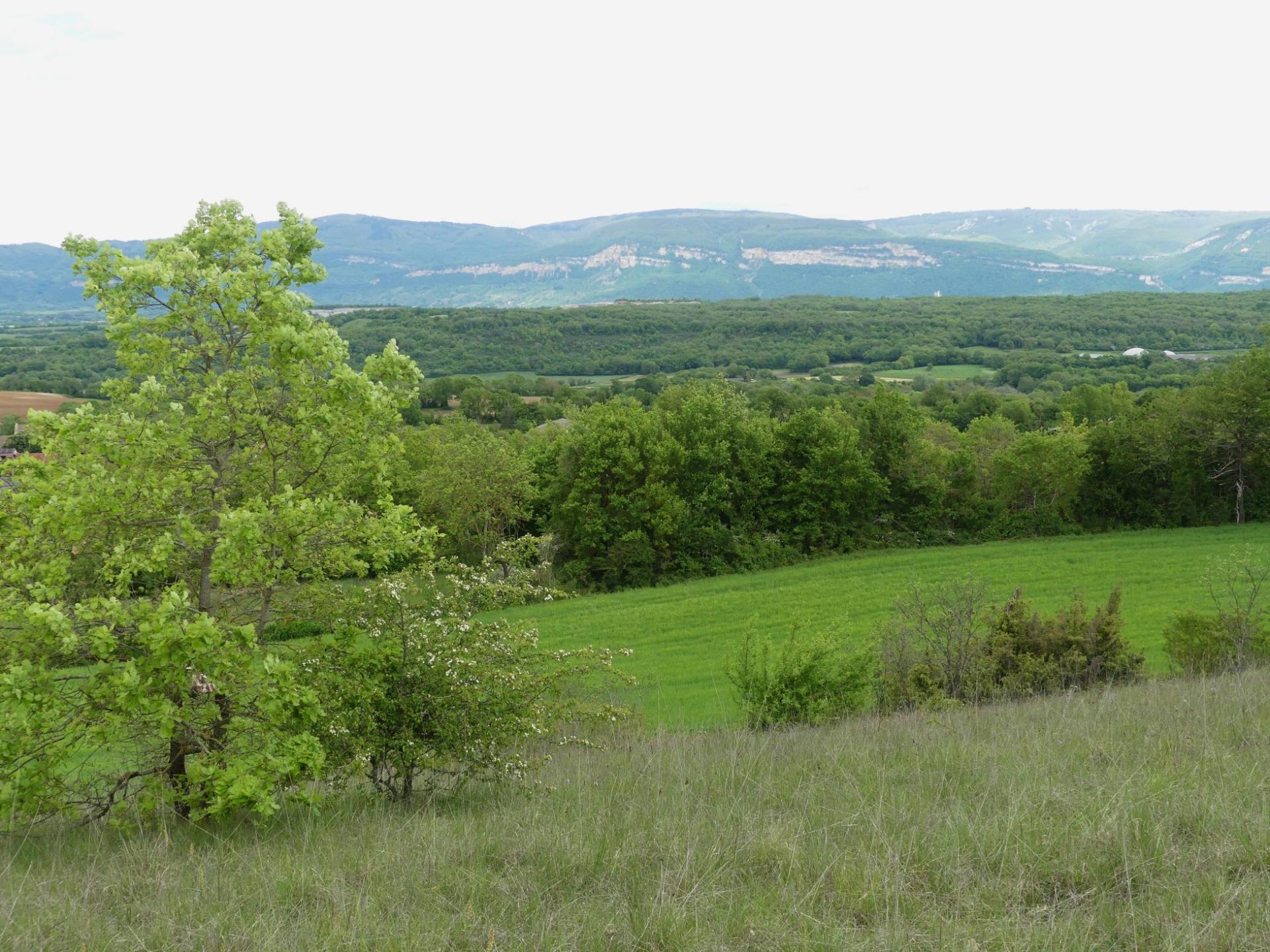 P1230258 r