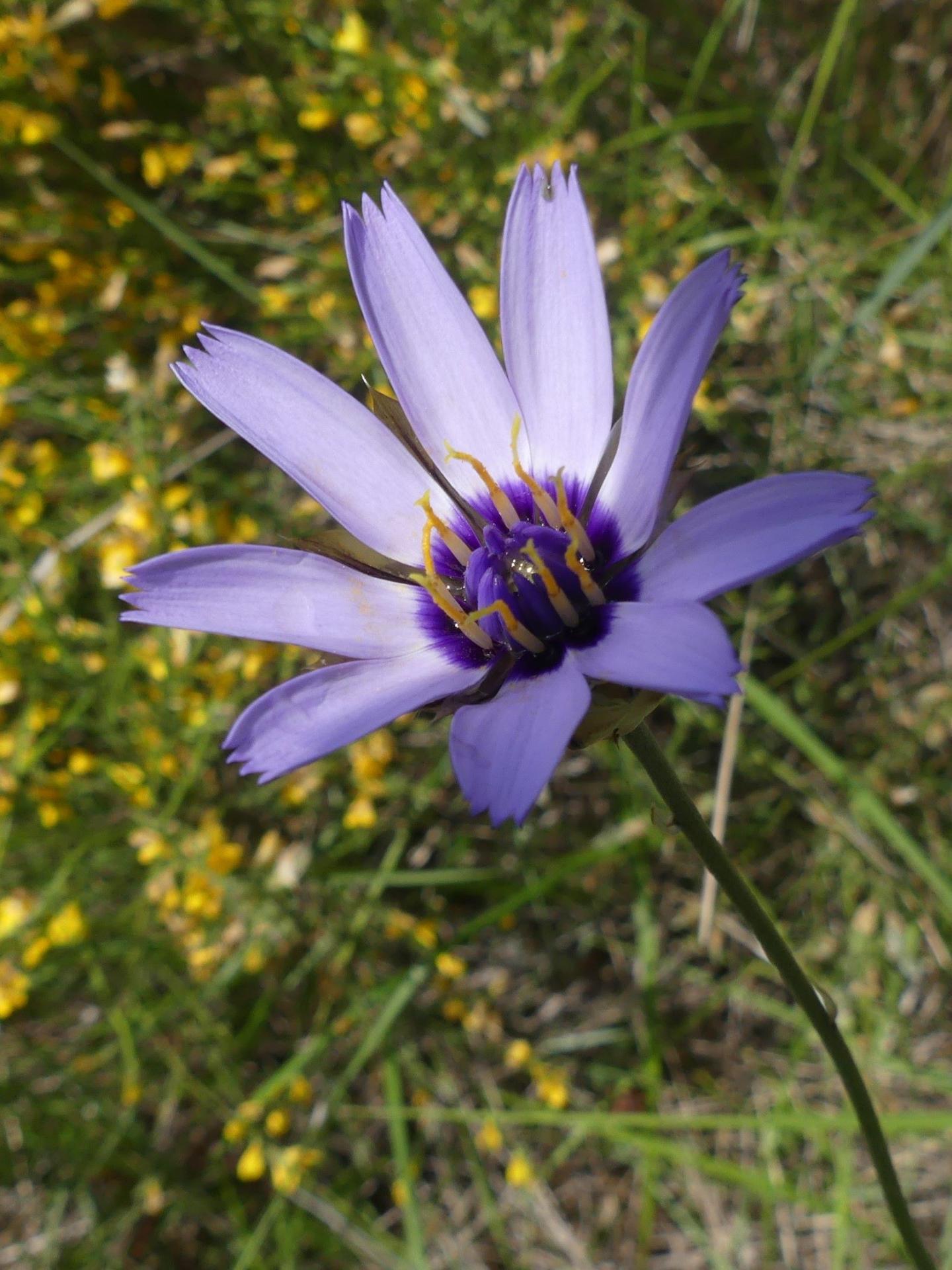 P1240124