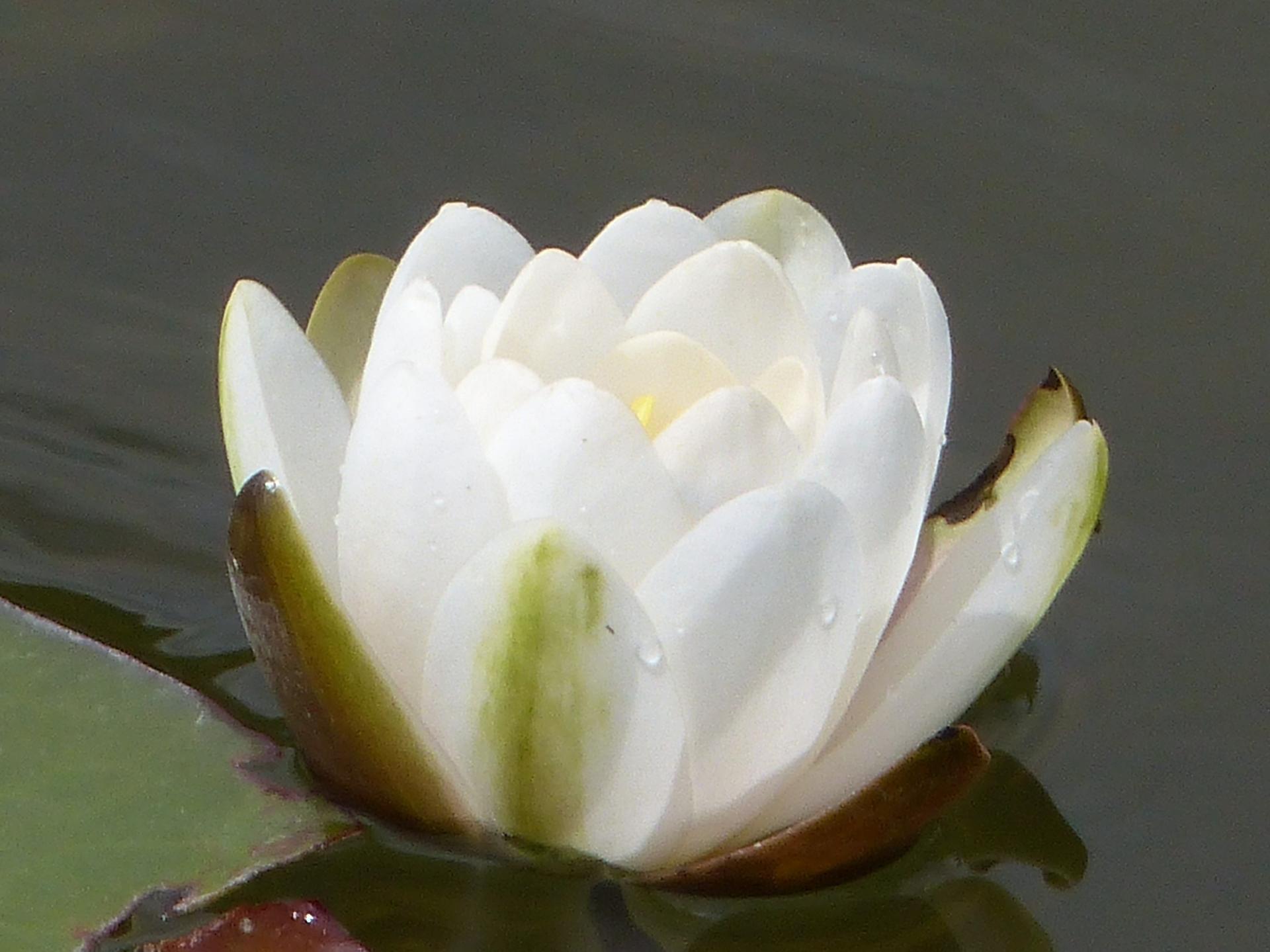 P1250987 r