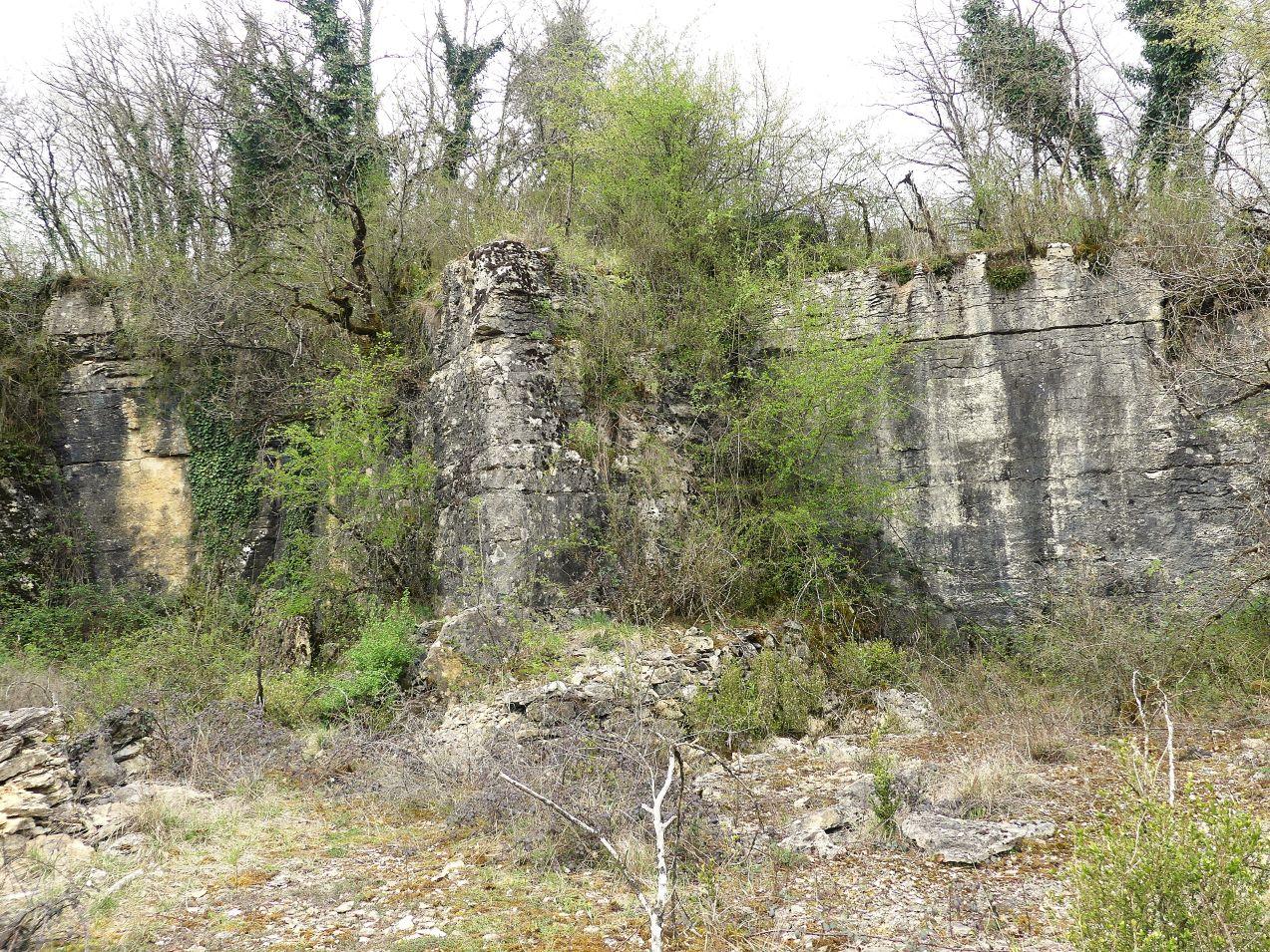 P1270132 r