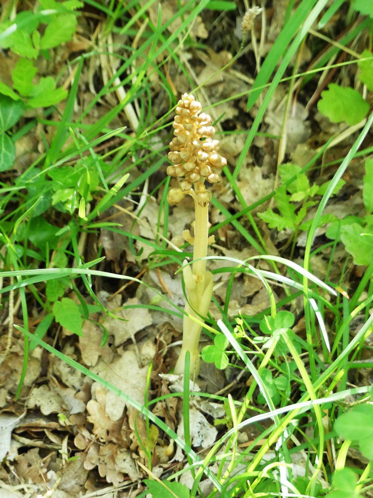 P1270409 r