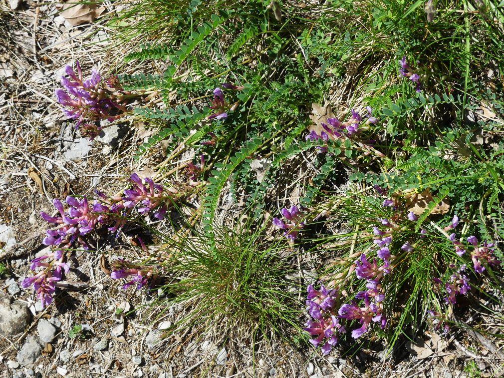 P1270434 r