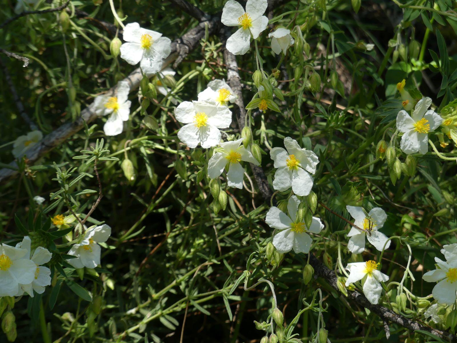 P1270441 r