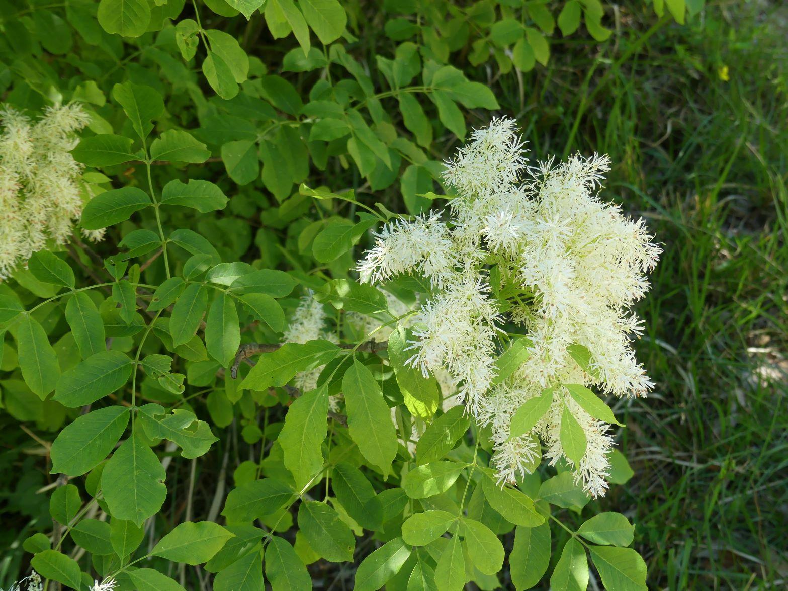 P1270456 r