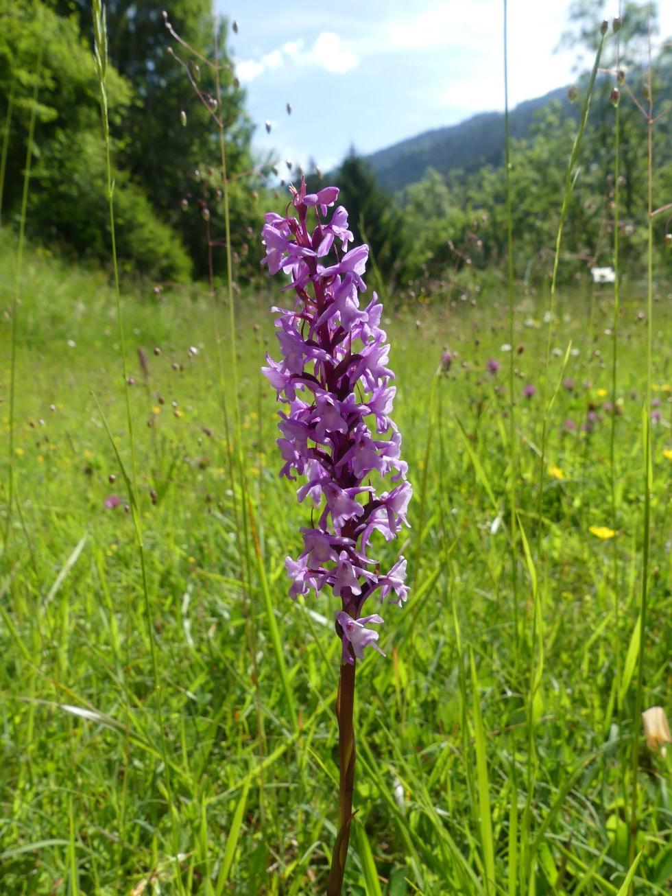 P1270891 r