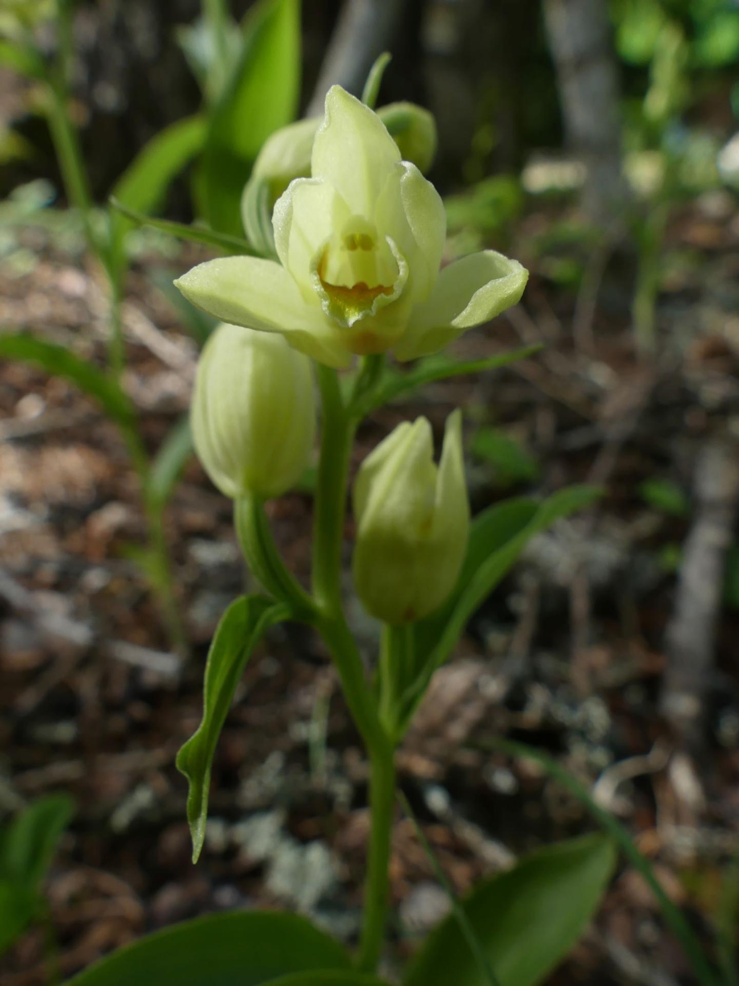 P1270897 r