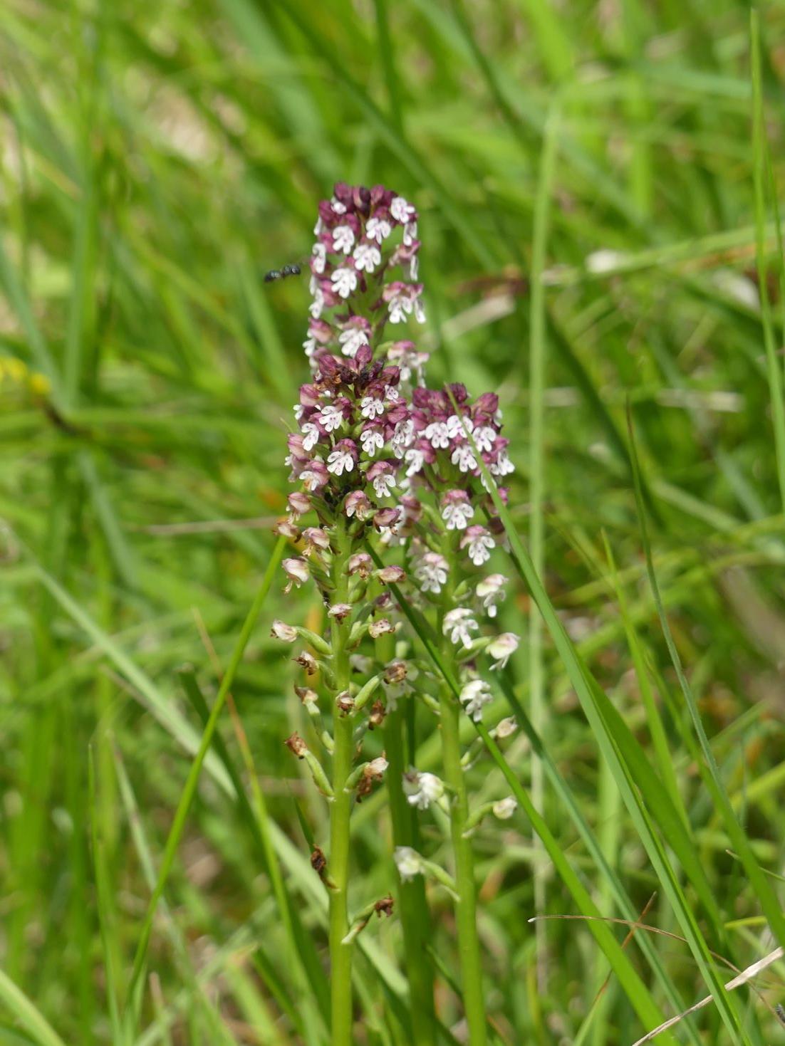 P1270932 r