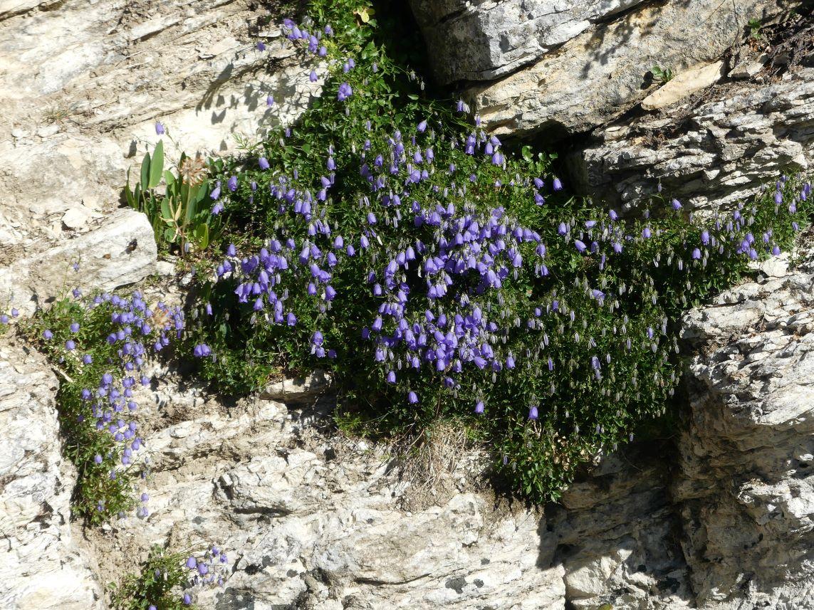 P1280567 r