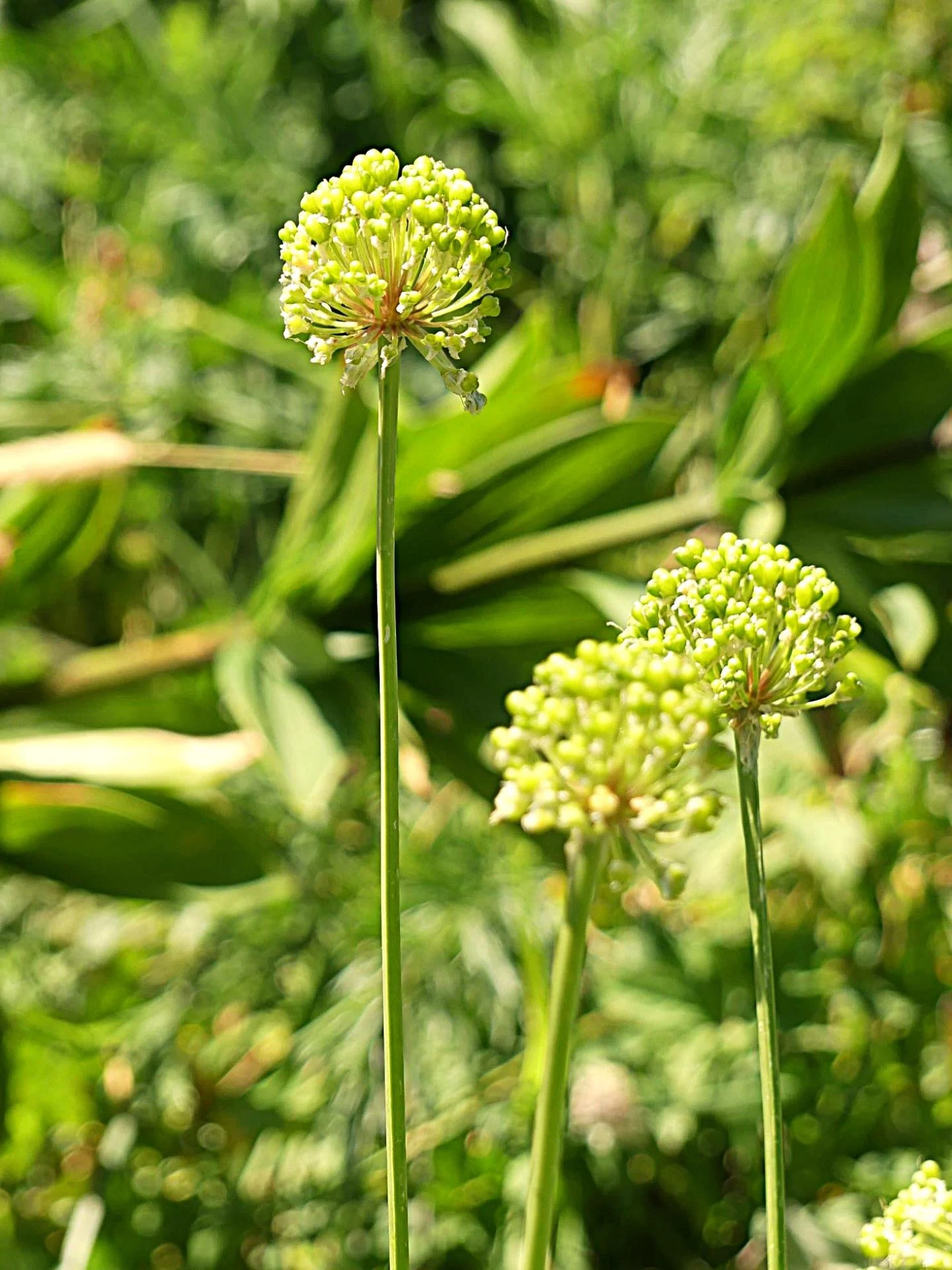 P1280616 r