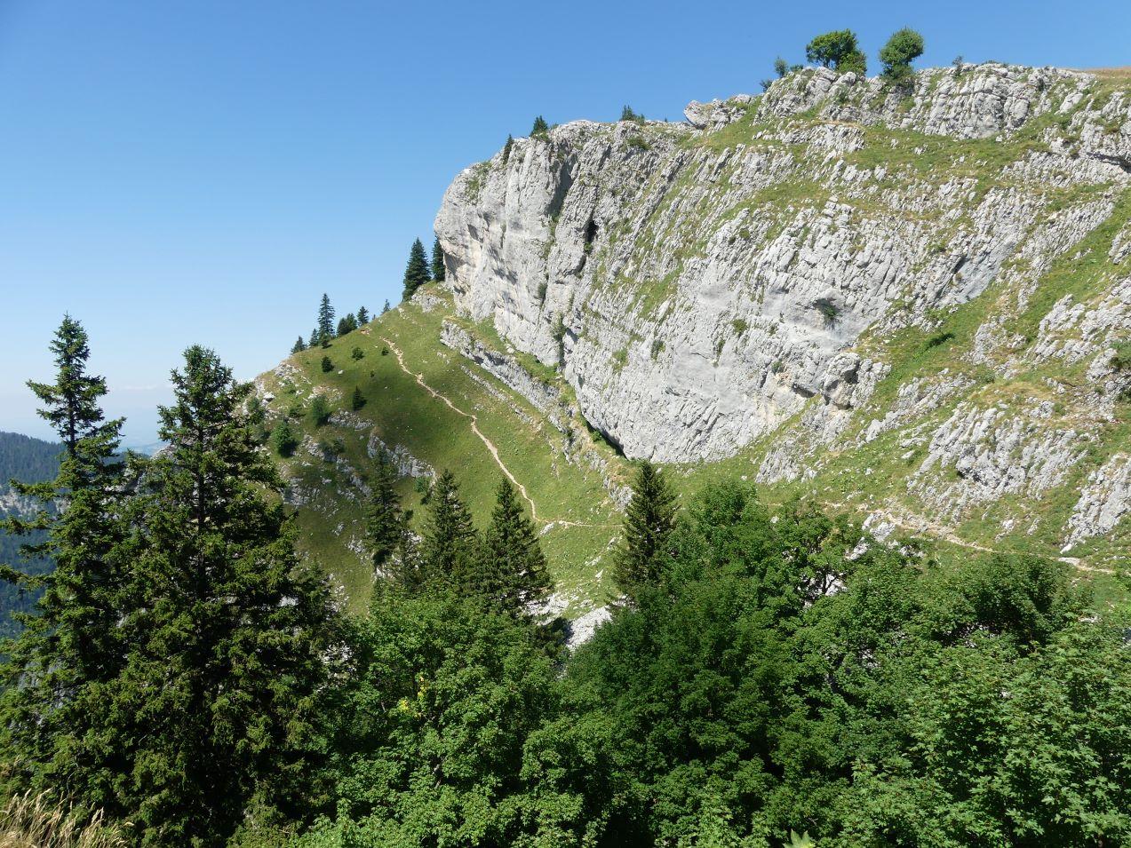 P1280636 r