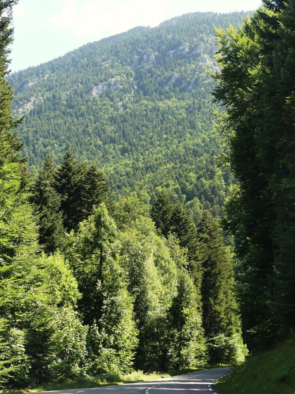 P1280788 r