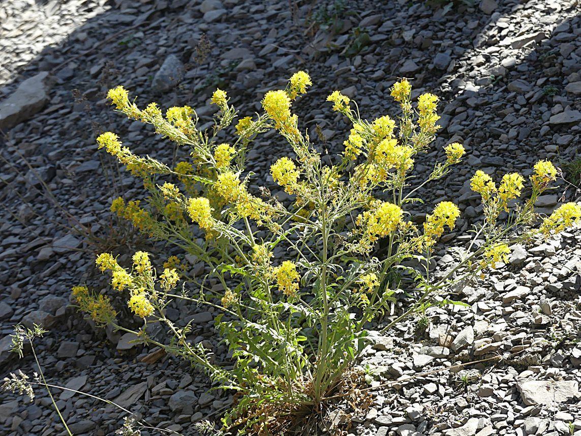 P1280886