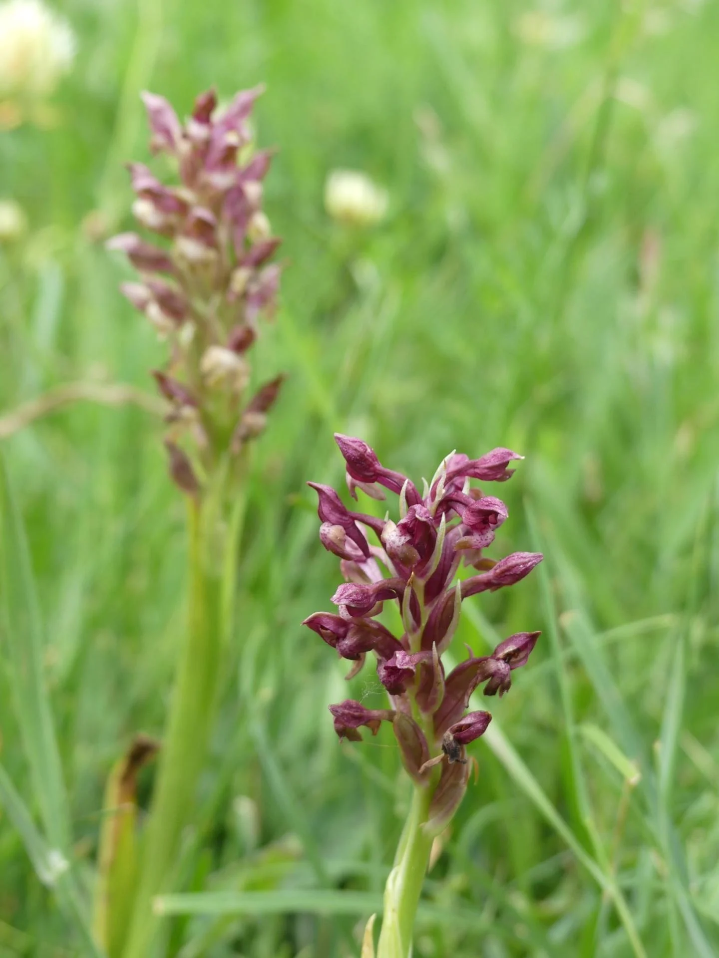 P1320137 r