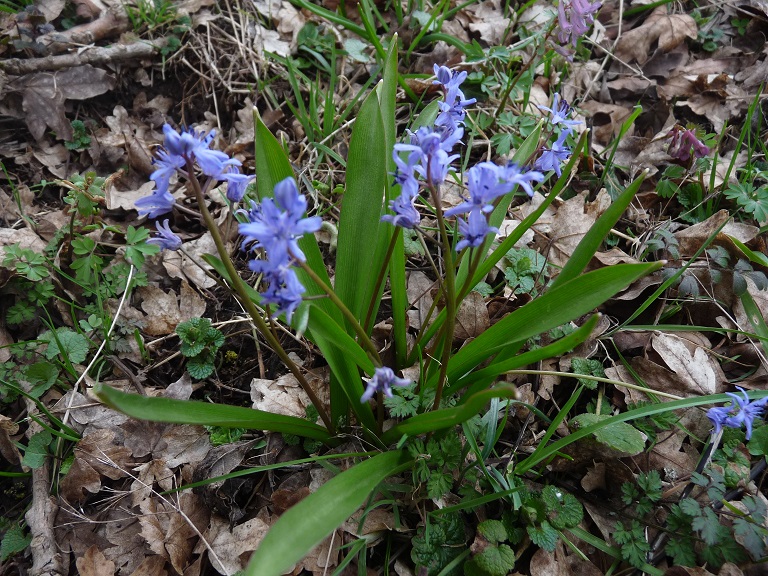 P1490054 r