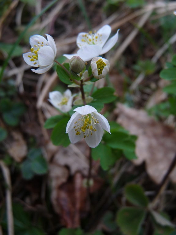 P1490059 r