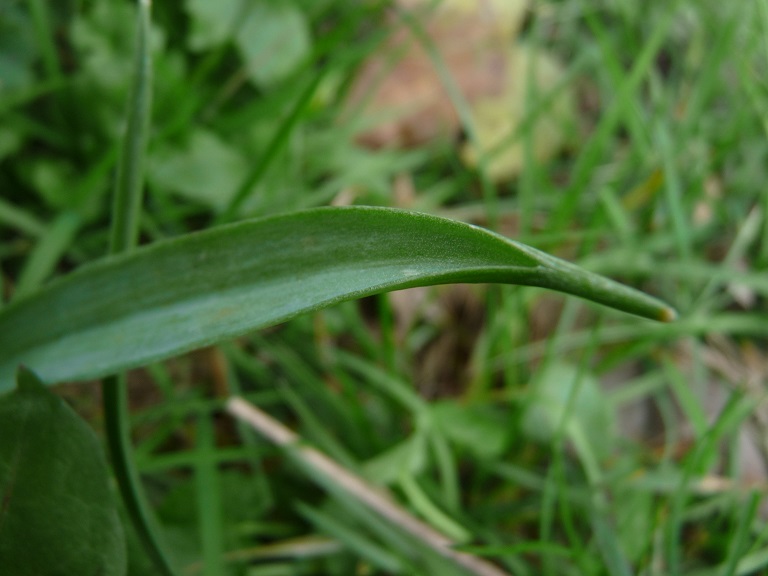 P1490071 r