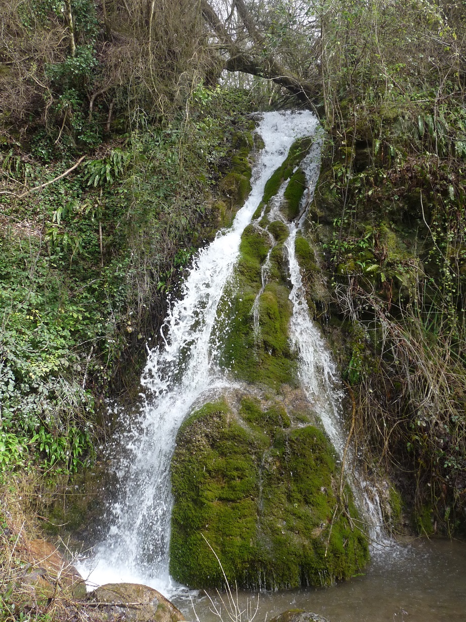 P1490250 r