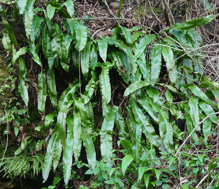 P1490300 r