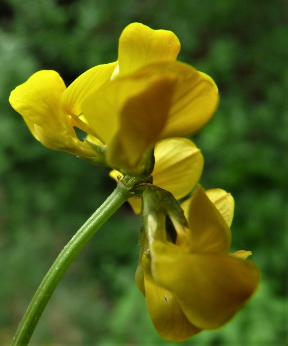P1490825 r
